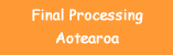 Special Thanks for help in finalizing the processing of this text!