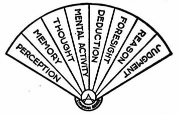 in this ideal fan